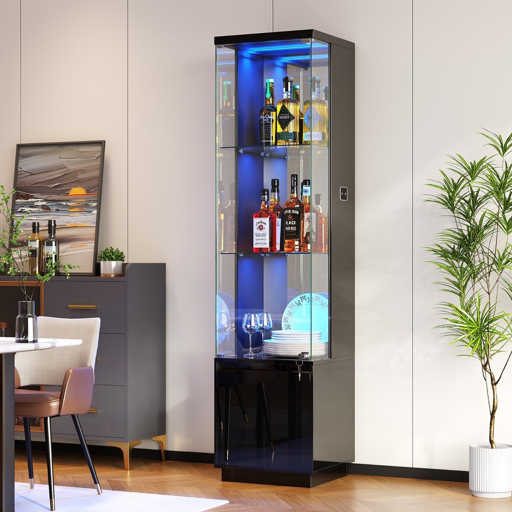 Display Cabinet with Locked Glass Doors, 65