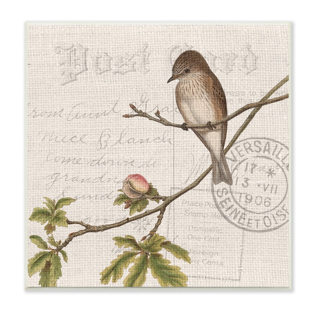 Stupell Song Bird Tree Branch Vintage Postal Card Pattern Brown 12 x 12