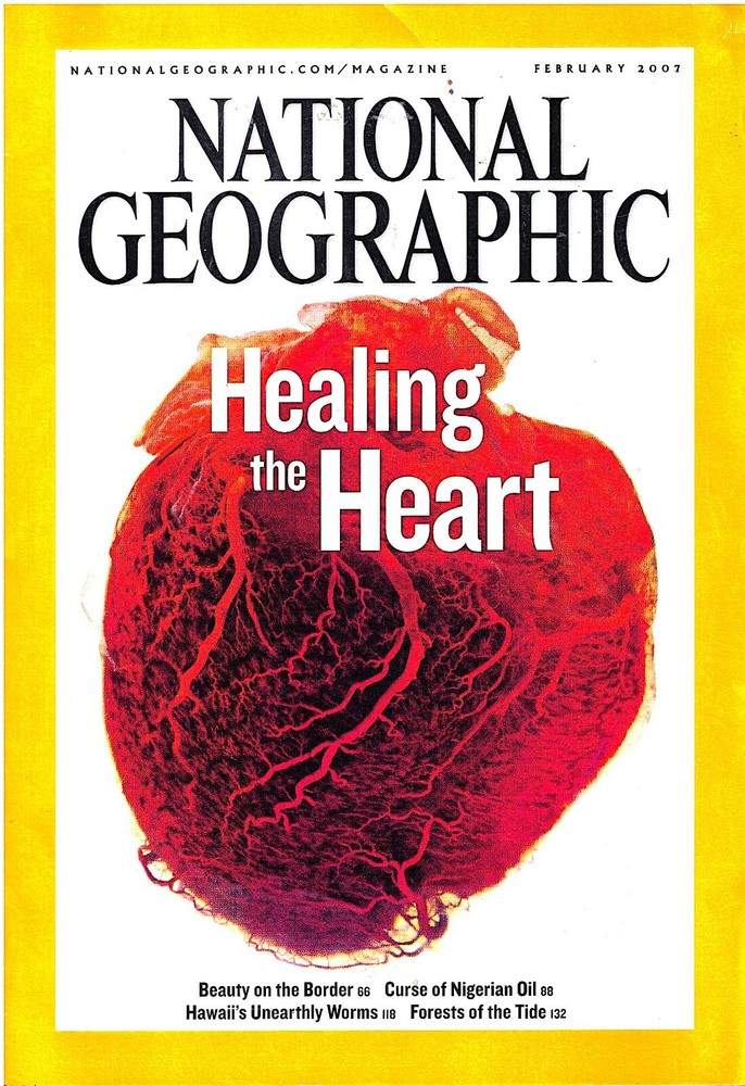 National Geographic Collection 6-Pack- 2007- Like NEW $6.00