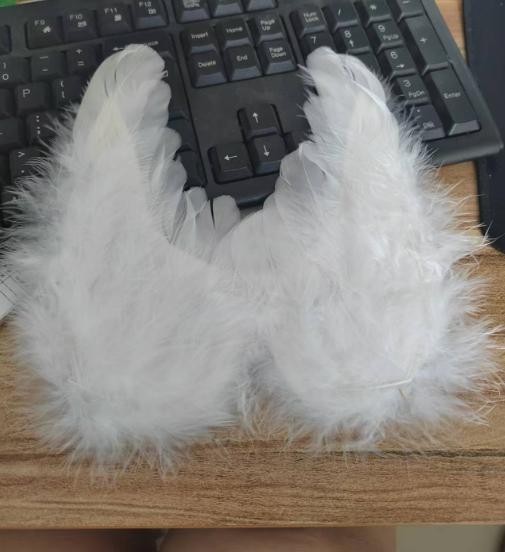 POP MART LABUBU Plush Wings Only No Doll Clothes Coca Cola Angel