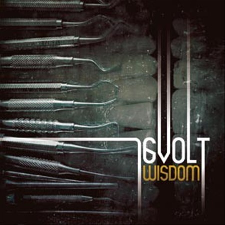 16VOLT WISDOM NEW CD