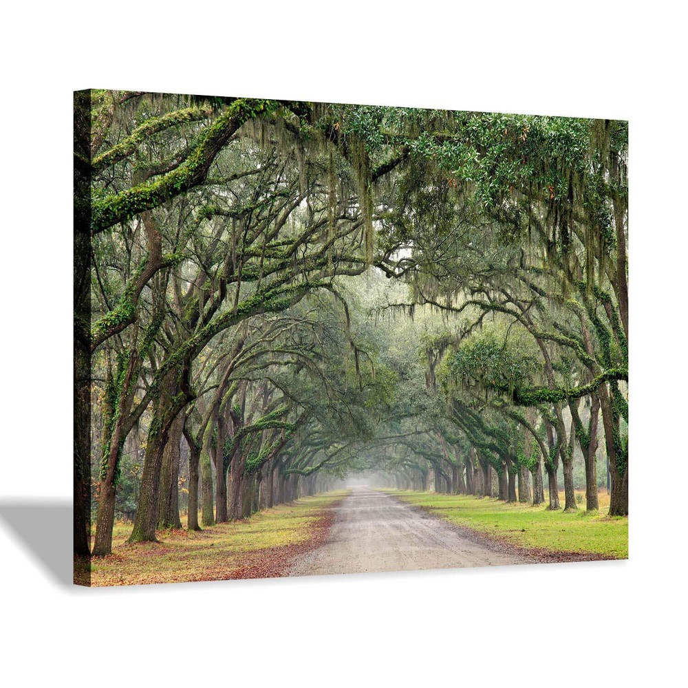 Oak Tree Canvas Wall Art: Green Landscape Artwork Forest Picture Painting Sma...