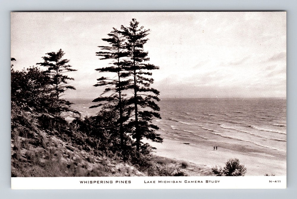 Lake Michigan MI-Michigan Whispering Pines Vintage Postcard Standard Souvenir