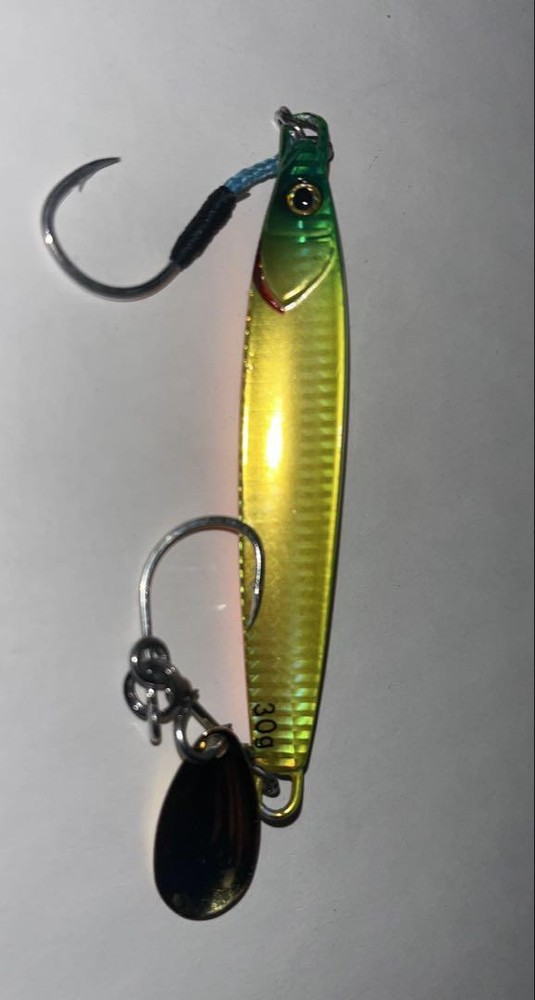 Fishing Lure Jackall Big Backer Rolled 30G