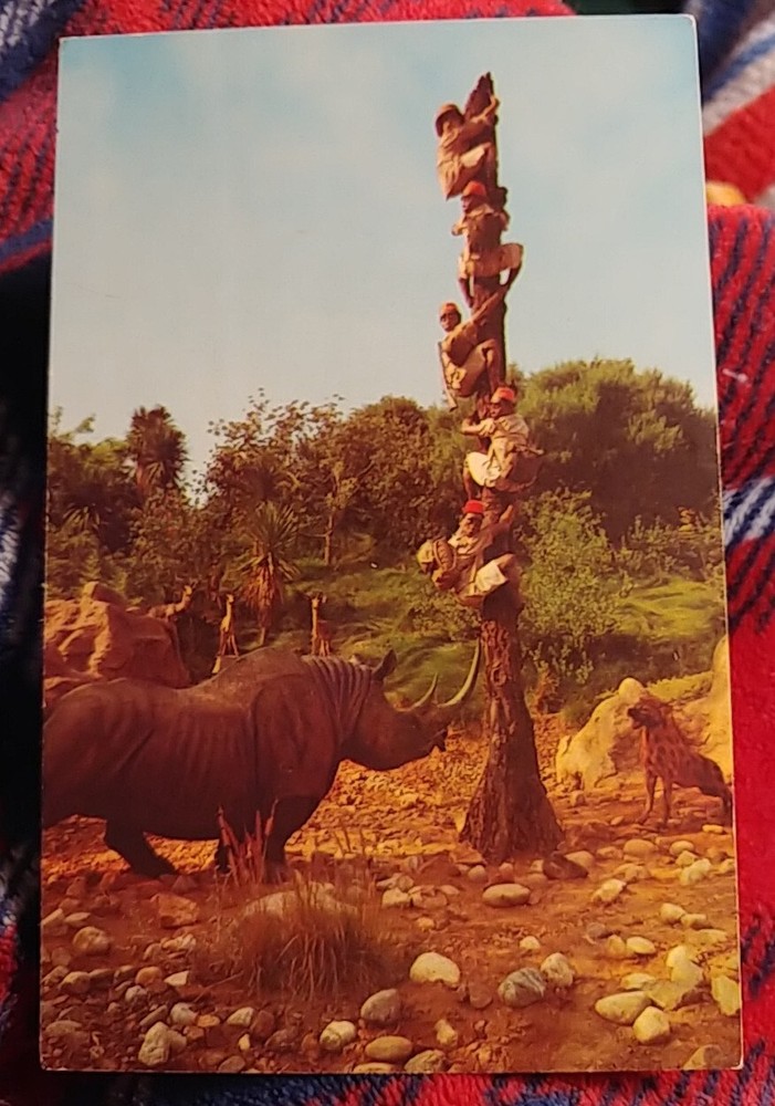 Vintage Disneyland Trapped Safari Postcard 5.5x3.5 Inches Retro Fun