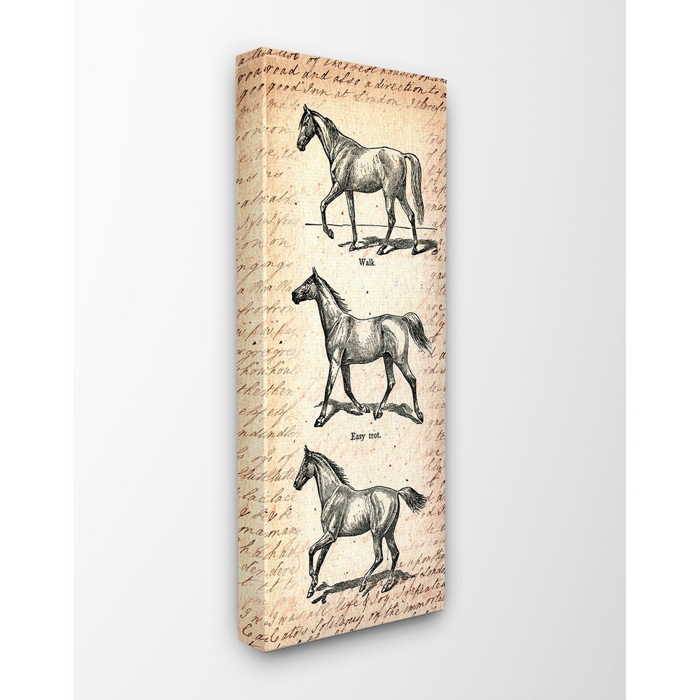 Stupell Vintage Horse Movement Diagram Stretched Canvas Wall
