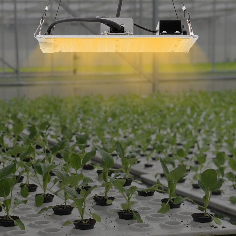 3x3 Ft 110W Full Spectrum LED Grow Light for Indoor Plants High Coverage