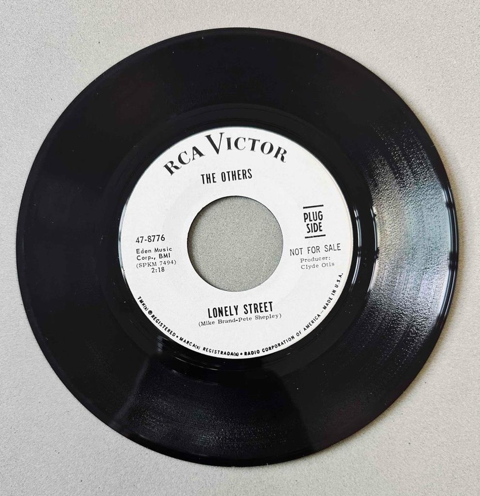 Garage Rock 45 The Others - Lonely Street/The First Time I Saw You * RCA Promo