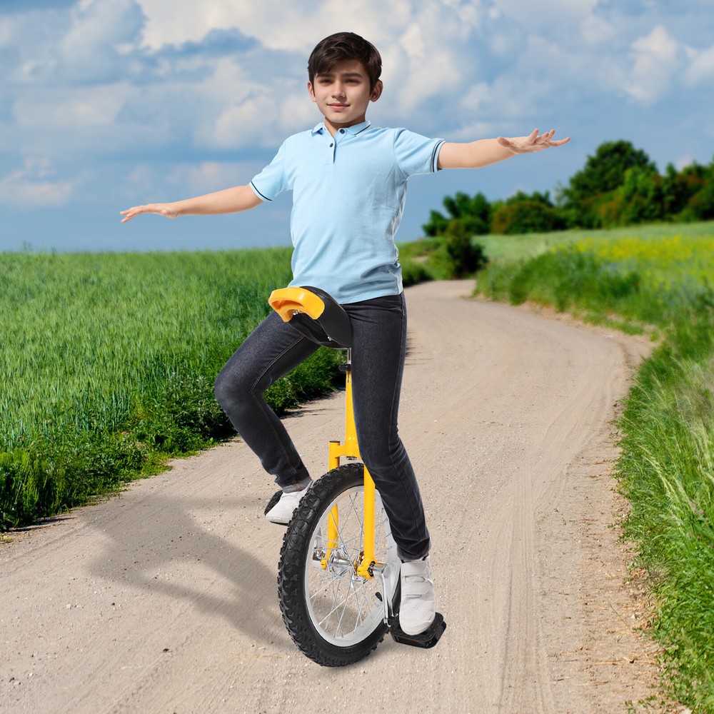 16 Inch Adjustable Unicycle for Balance Training 110lb Capacity