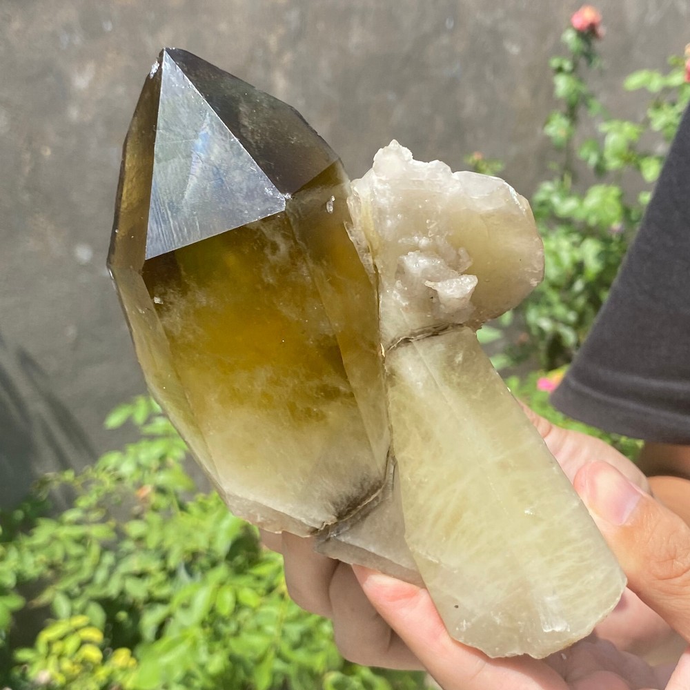 2.1LB Natural Citrine Quartz Cluster Crystal for Healing and Energy