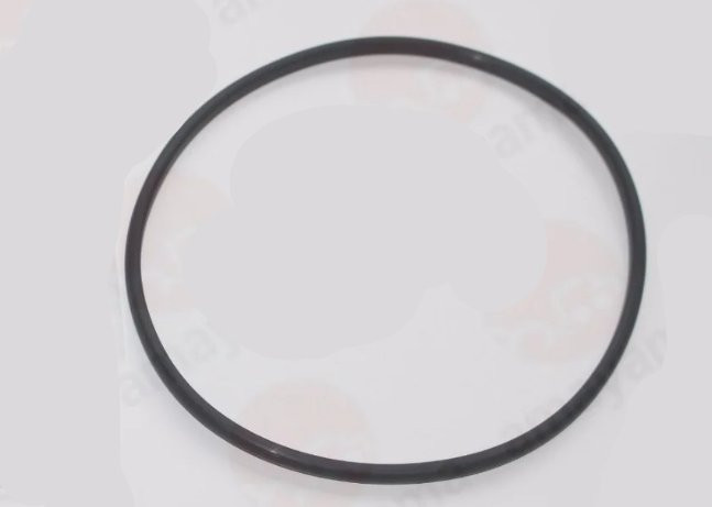 Nissan Juke F15 Fuel Filler Pipe Gasket 17342AY600 NEW GENUINE