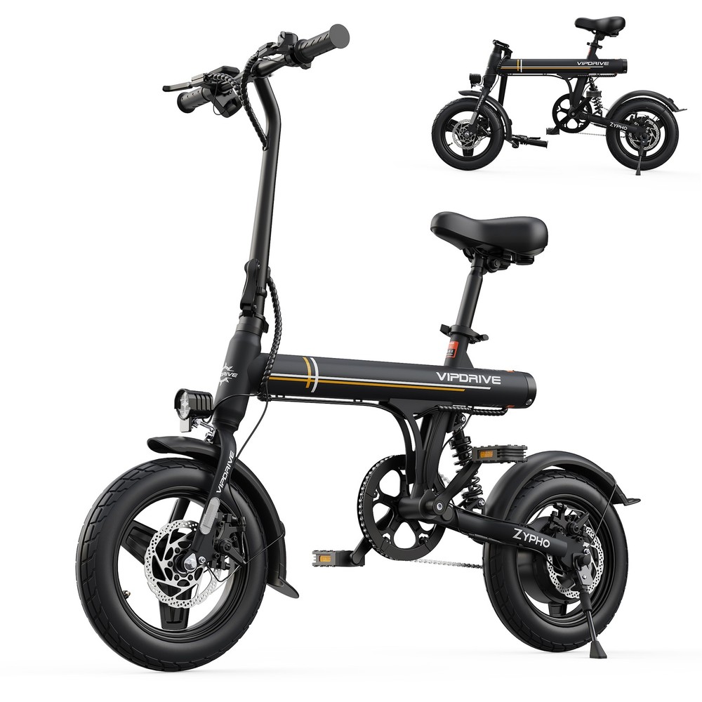 Electric Bike 14