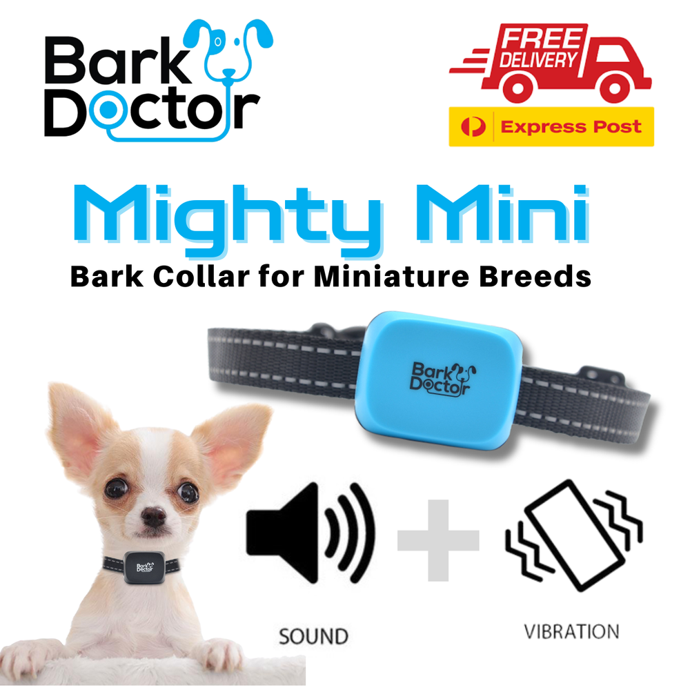Best Selling Bark Doctor Mighty Mini Bark Stop Dog Collar for Chihuahua Toy Poodle