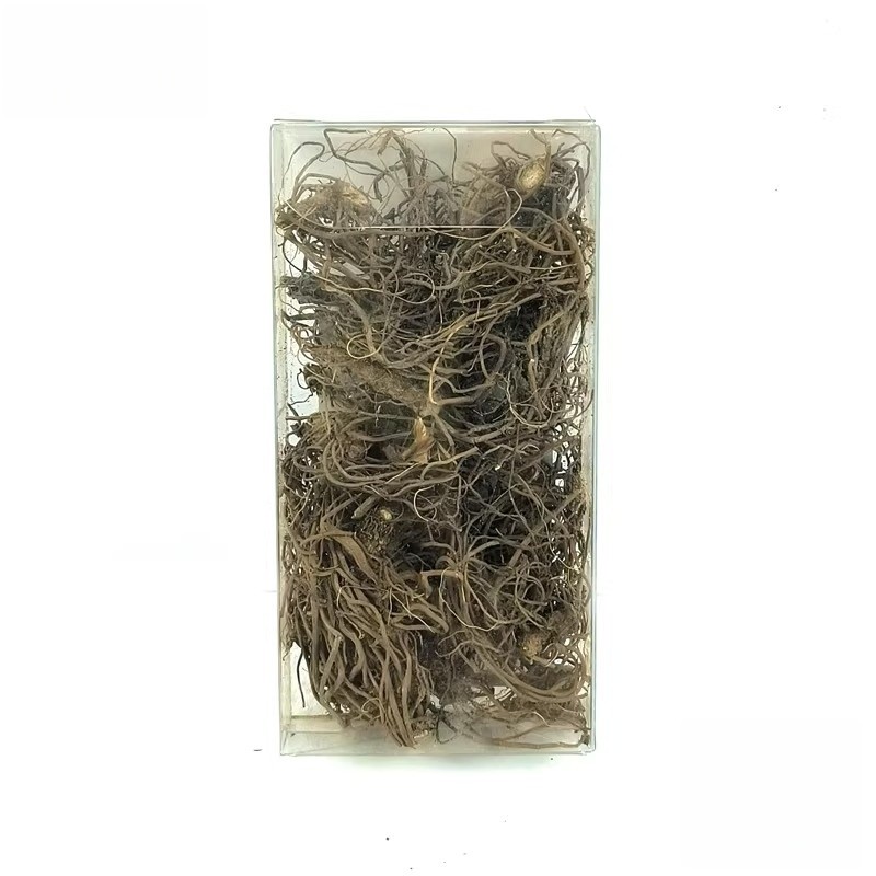 Diorama Plants Small Tree Root Cane Vine Model DIY Scene Props Model Accessories