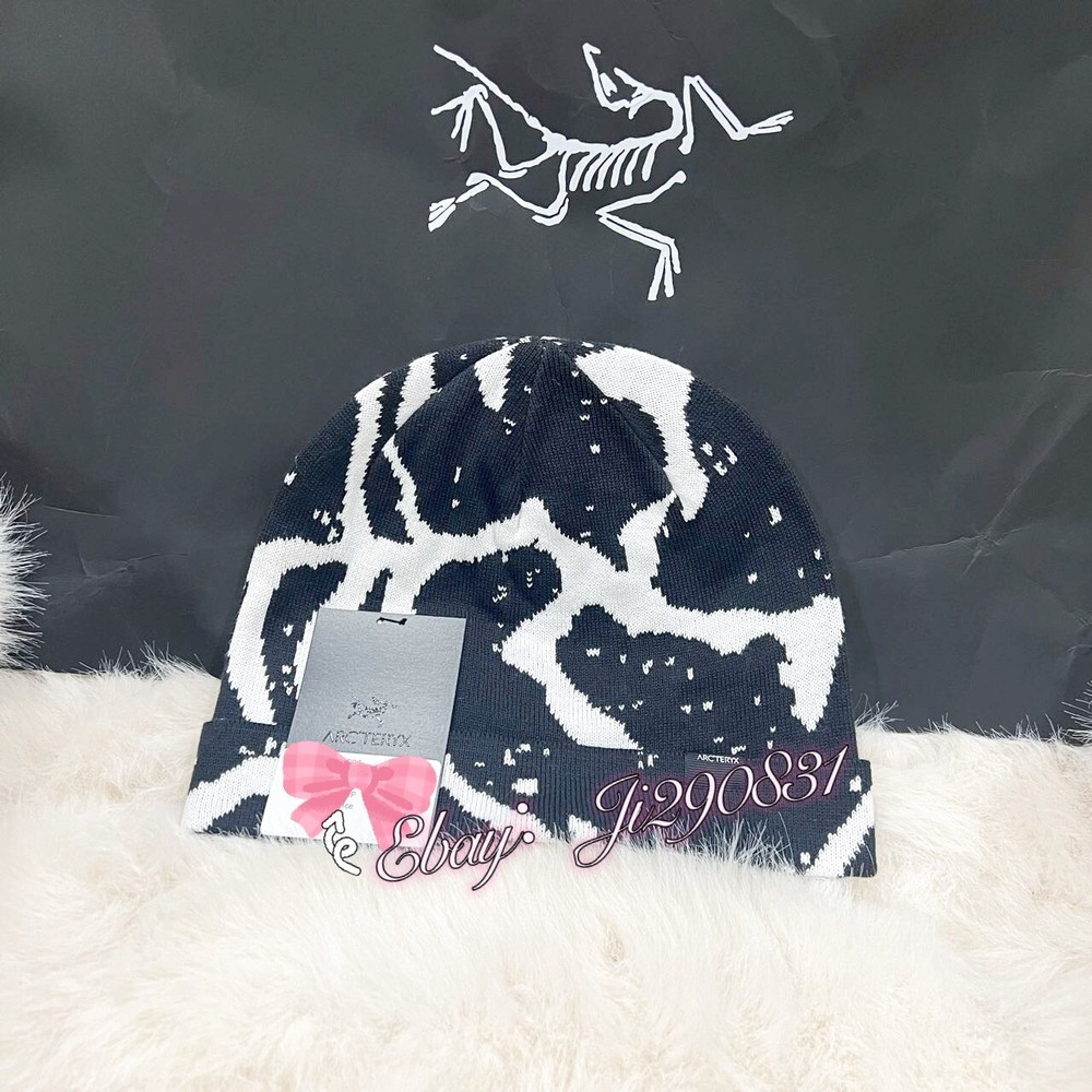 Arc’teryx Bird Head Lightweight Grotto Toque ORCA Beanie Winter Hat NWT