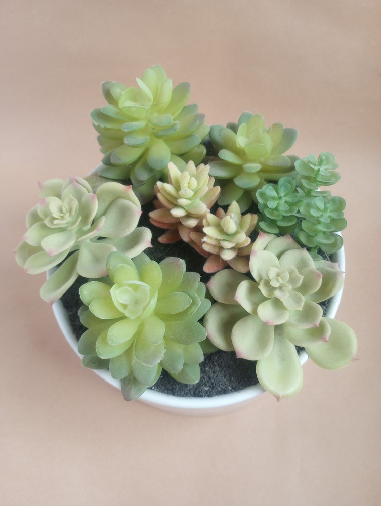 Artificial Succulent Arrangement 7 Inch White Round Planter Faux Potted