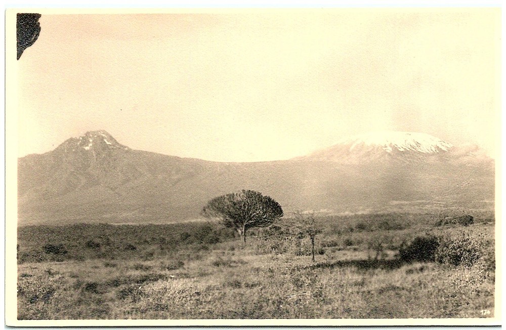 S02-1738, VIEW OF THE NORTH, KILIMANDJARO, KENIA, *REAL PHOTO POSTCAR