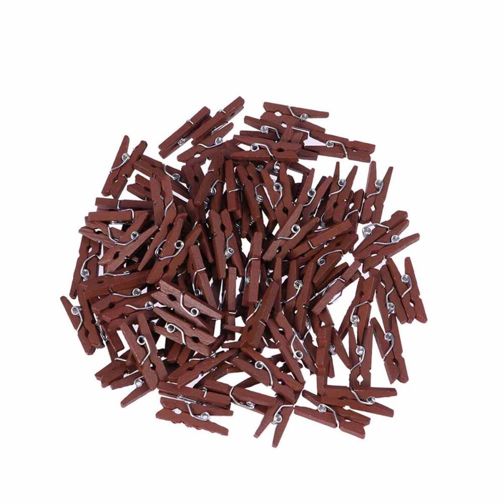 100 Pcs Mini Heavy Duty Clothespins Pegs for Washing Line Clips Eco-friendly