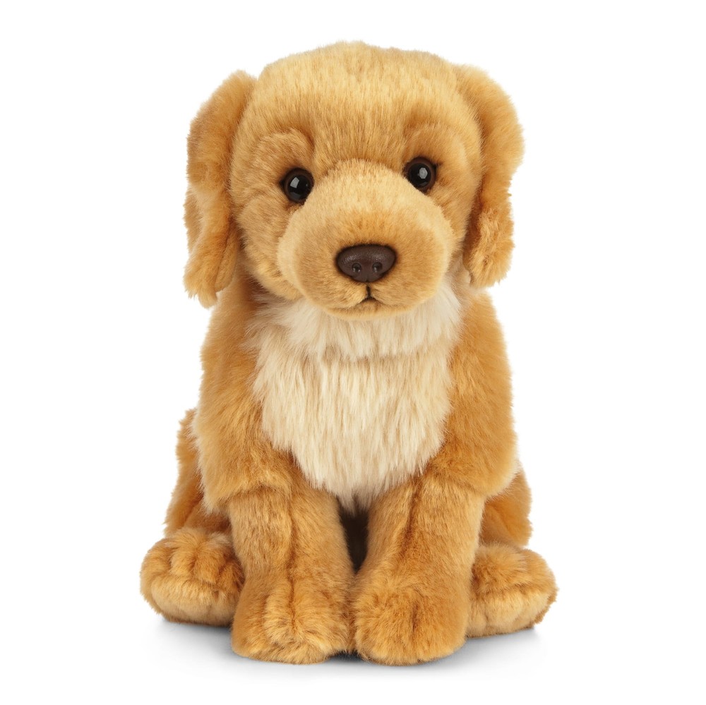 Golden Retriever Stuffed Animal | Fluffy Dog Animal | Soft Toy for | 8 inches