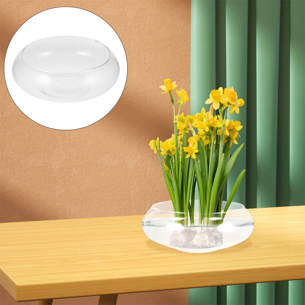 Glass Hydroponic Planter Bowl for Plants & Fish - Water Garden Pot  
