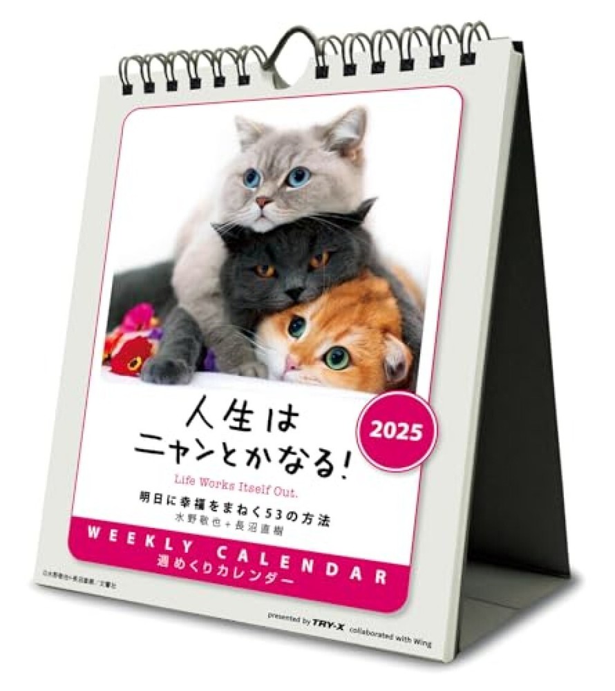 2025 Desk Top Weekly Cat Life Works itself Out CL-384 Japanese Calendar