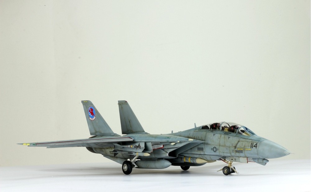 PreSale USN Top Gun F-14A Tomcat 1:48 Pro Built Model-image