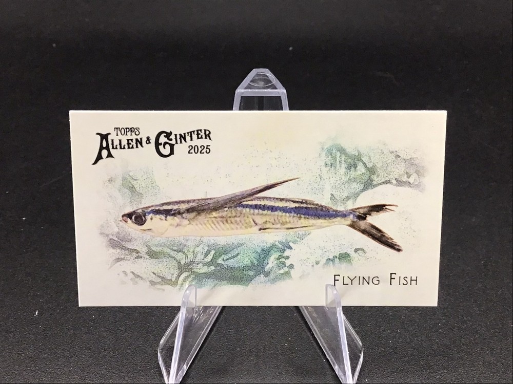 2025 Topps Allen & Ginter Fish From Global Waters MINI FGW-17 Flying Fish