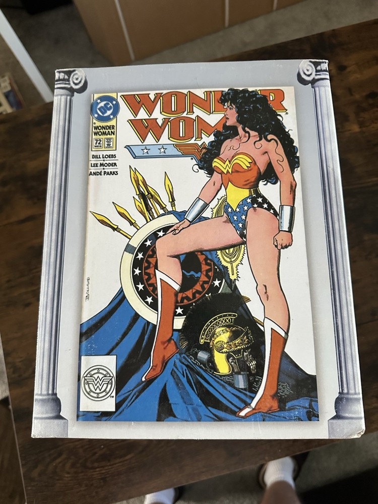 WONDER WOMAN Amazon Over Skulls Bolland Cvr Cold Cast Full Sized Statue 2000 MIB