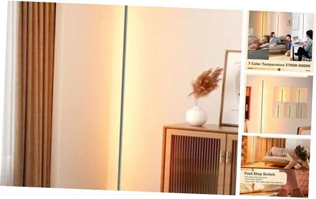 LED Corner Floor Lamp, Minimalist Dimmable Light with Remote, Standing Silver