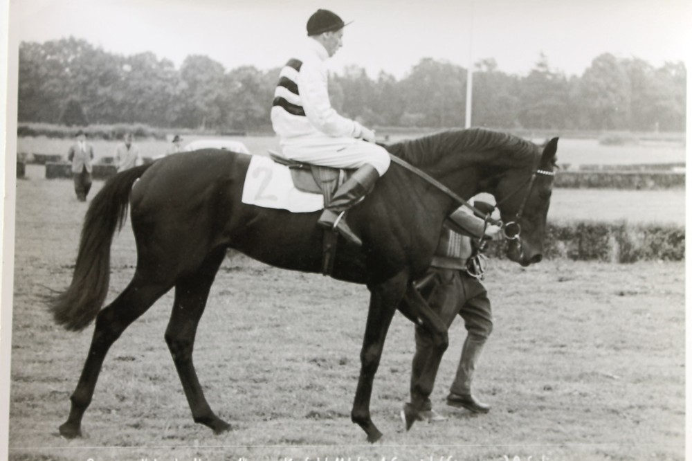 19543 Photo Price From Hohenbudberg Horse Race Krefeld 11.6.1960 Rider Horse