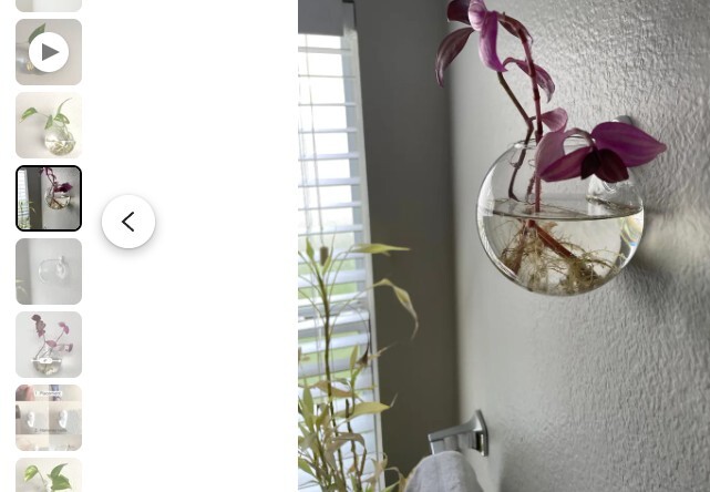 Hanging Glass Wall Planter for Propagation with Quick Hook Terrarium Vase