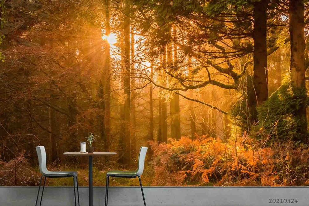 3D Forest Sunshine Autumn Landscape Wall Murals Wallpaper Murals Wall Sticker