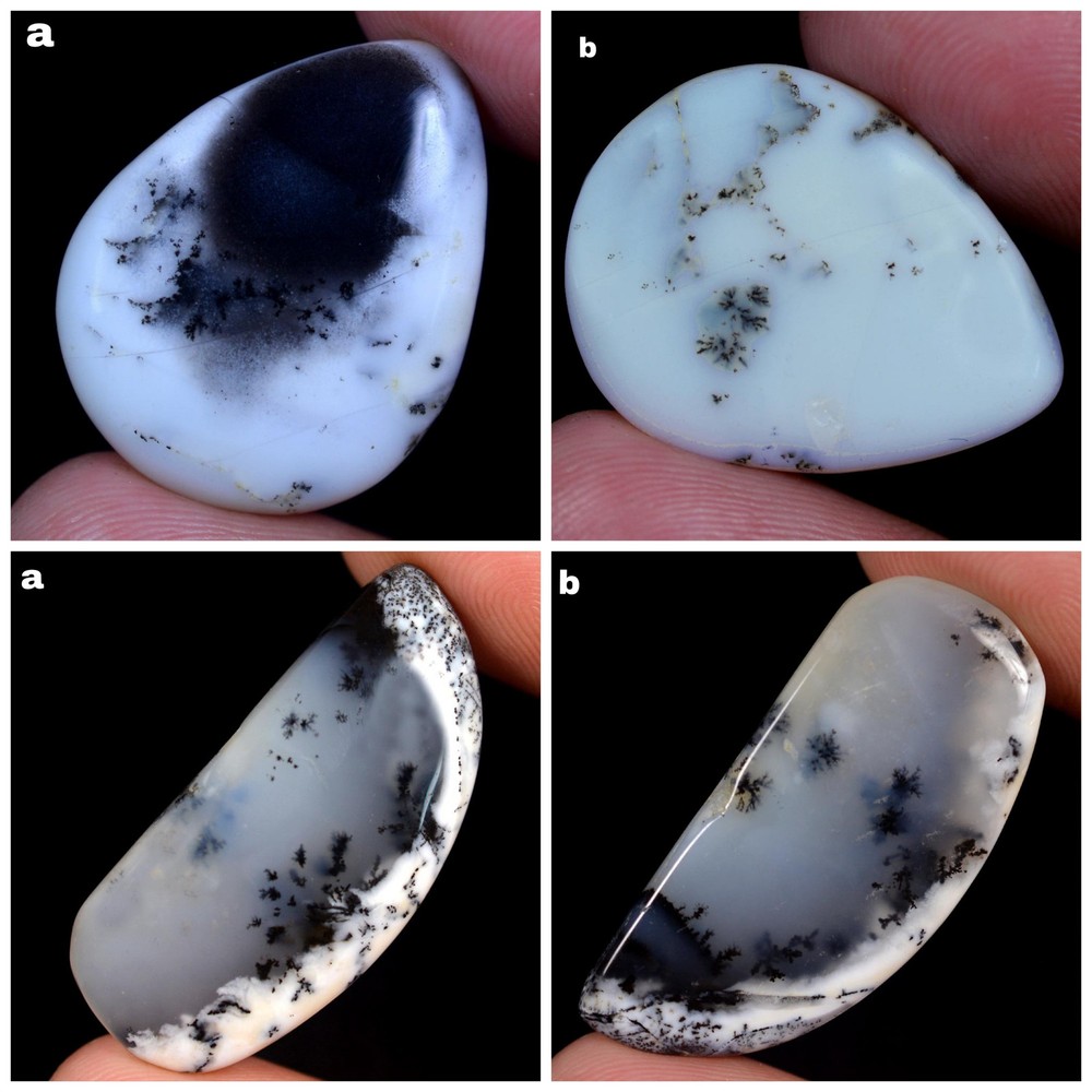 24.90,15.80 Cts 100% Natural Dendrite Opal Cabochon 2 Pcs Mixed Gemstone FY25