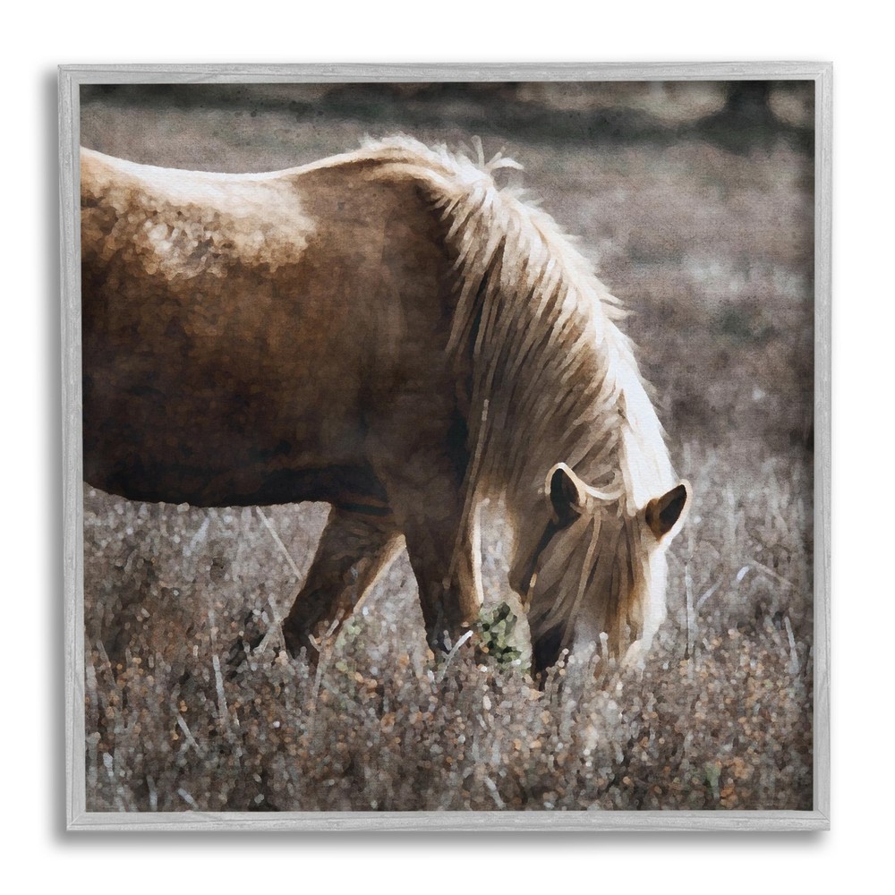 Wild Horse Grazing Framed Giclee Art by LSR Design Studio