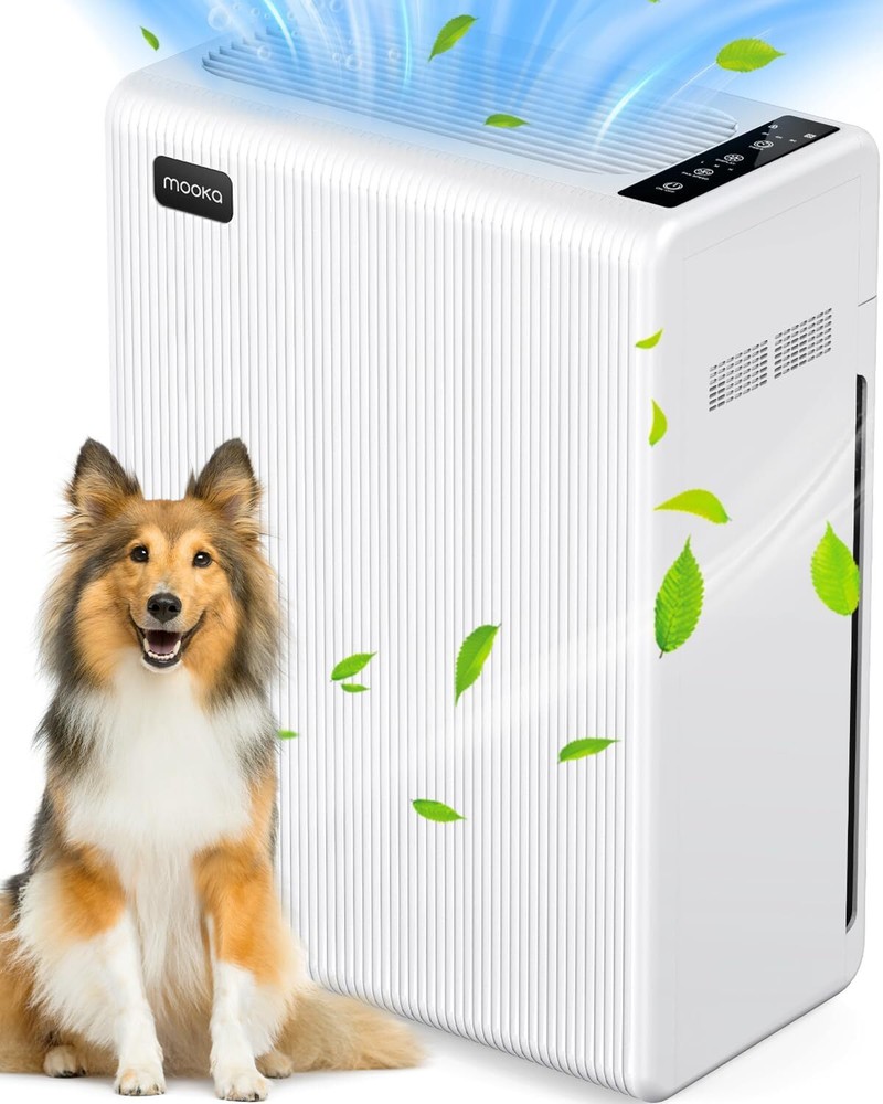 Air Purifiers for Home Large Room up to 1740ft², H13 HEPA Filter White