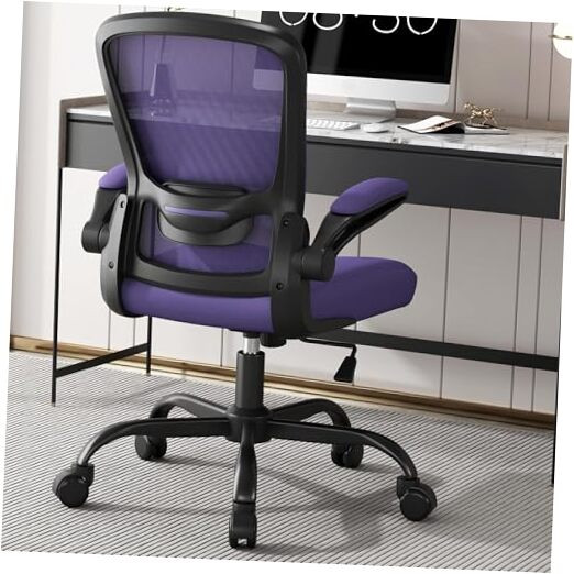 Office Chair, Ergonomic Desk Chair with Adjustable Lumbar Amethyst Modern