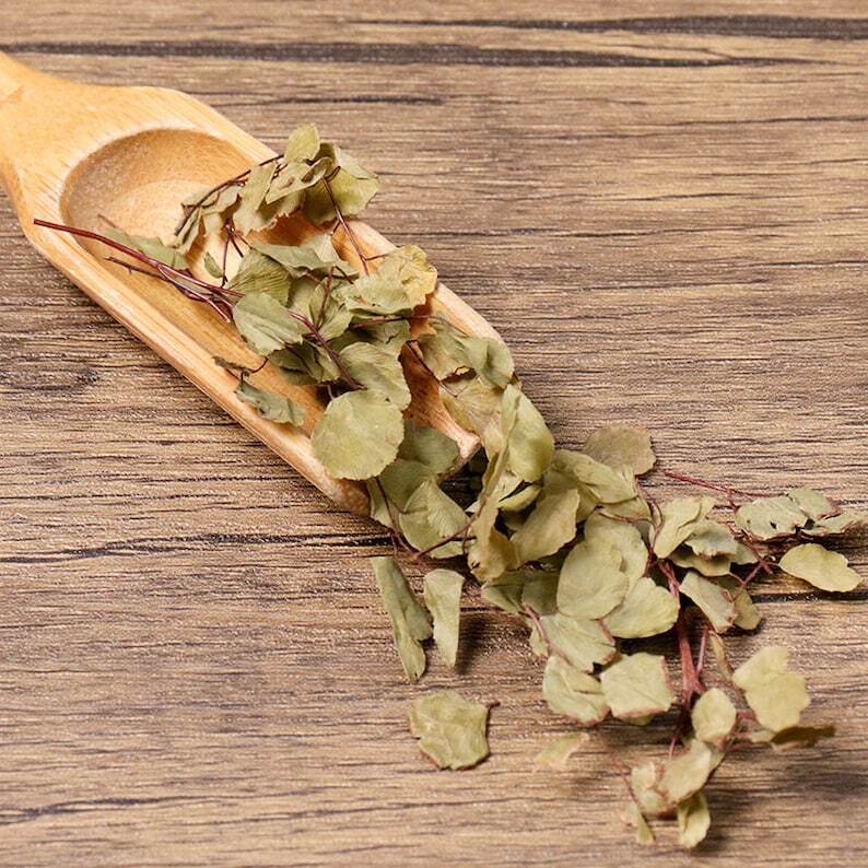 Dried Herbal Asplenii Yunnanensis Yunnan Spleenwort Herb Makes A Healthy Tea