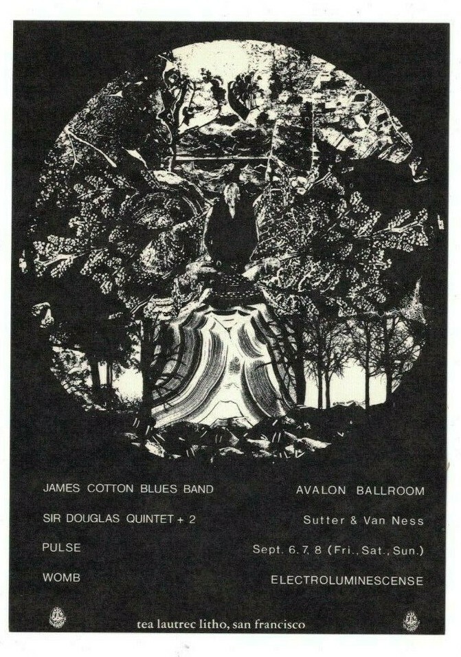 James Cotton Womb Pulse Avalon Ballroom Family Dog Postcard FD-136 NM B-2