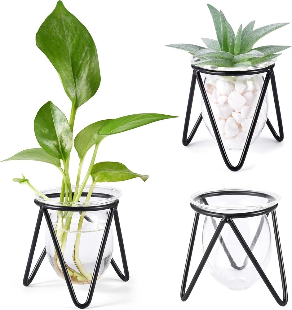 3 Pcs Glass Terrarium with Metal Stand for Air Plants Hydroponic Vase
