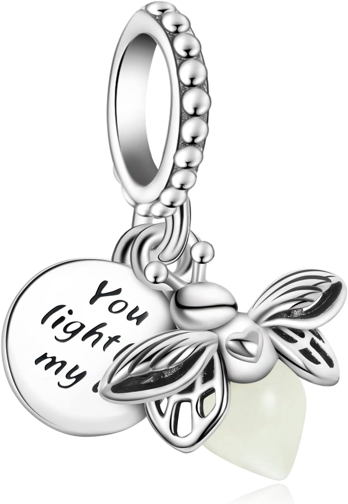 Annmors Dream Catcher Fireworm Love Charm Fit Bracelet 925 Sterling Silver Penda