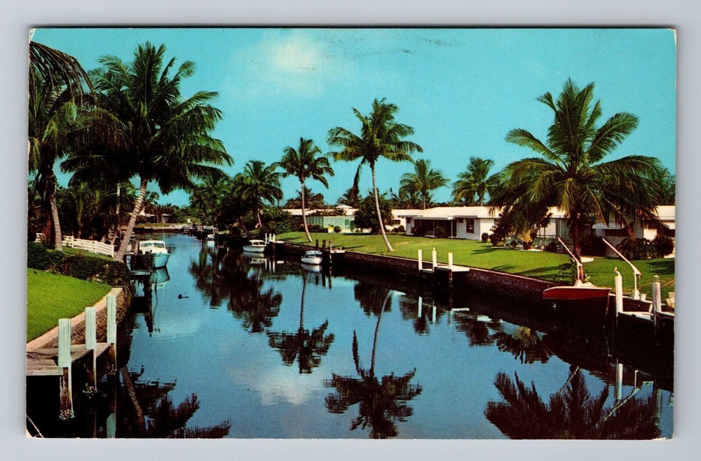 Lighthouse Point FL-Florida, Coconut Palms, Vintage c1970 Postcard