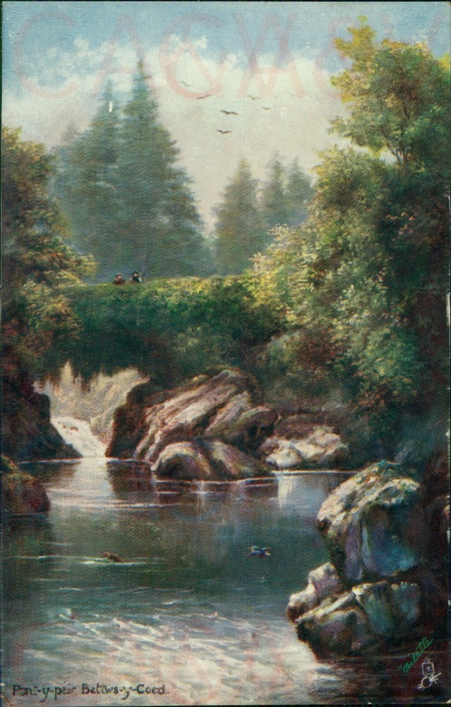 Bettws Y Coed Pont Y Pair 1908 Tucks Oilette Picturesque North Wales 8539