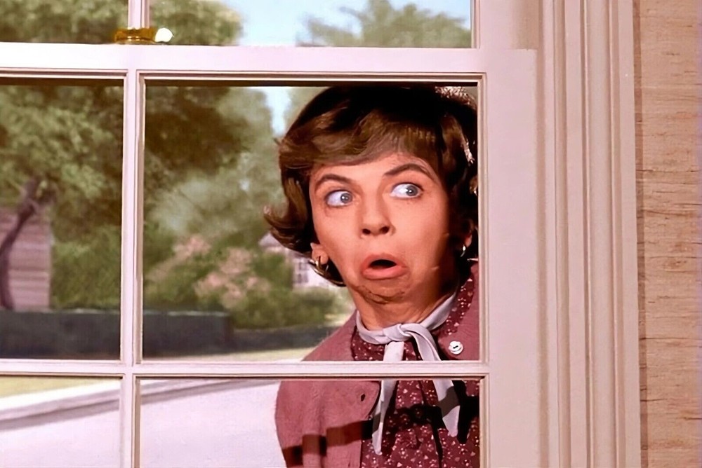 Bewitched TV Mrs. Gladys Kravitz (Nosy Neighbor Window) | POSTER 24 X 36 Inches