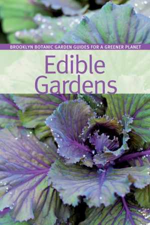 Edible Gardens - Paperback, by Peters Elizabeth Tehle - Good
