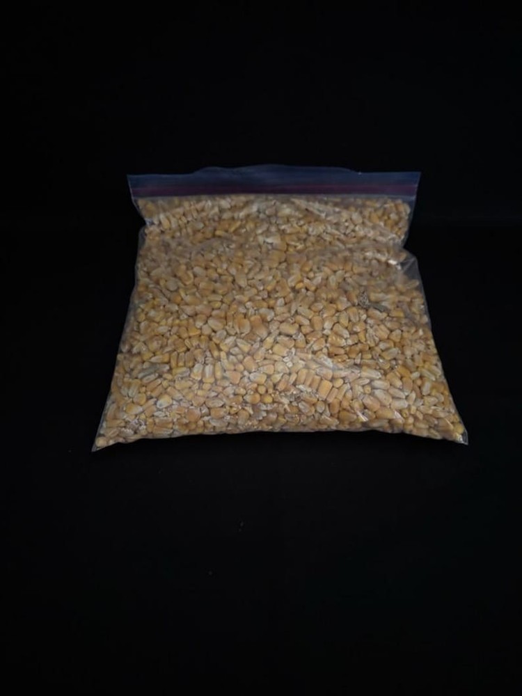 4 Pound Bag of Whole Kernel Corn for Cooking and Grilling