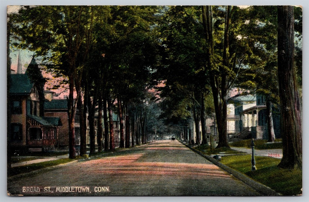 Vintage 1908 Middletown CT Broad St Residential Main Street Scene Postcard AB6