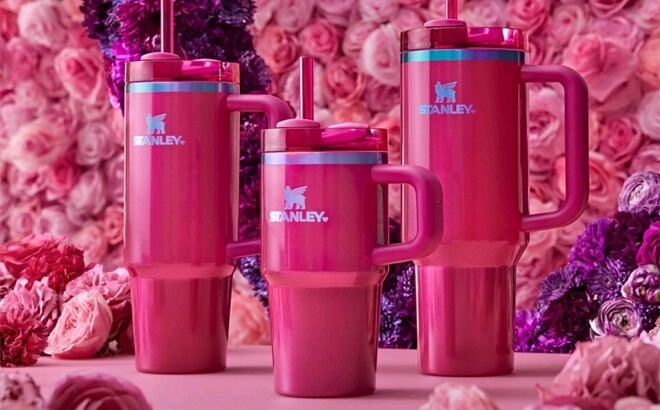 Limited Edition Stanley Valentine's 20 Oz Berry Truffle Tumbler with Bonus Accessories 🩷💜🩵