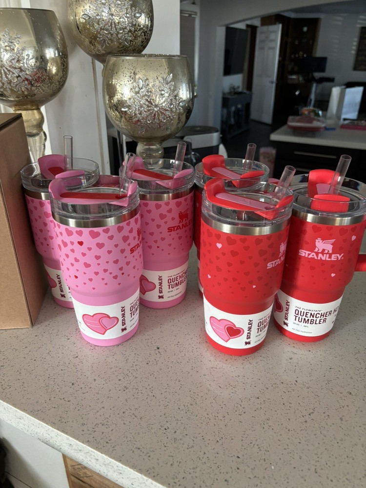 Stanley Cup Valentine’s Day 2025 Ruby Hearts 20 oz with handle Tumbler ON HAND