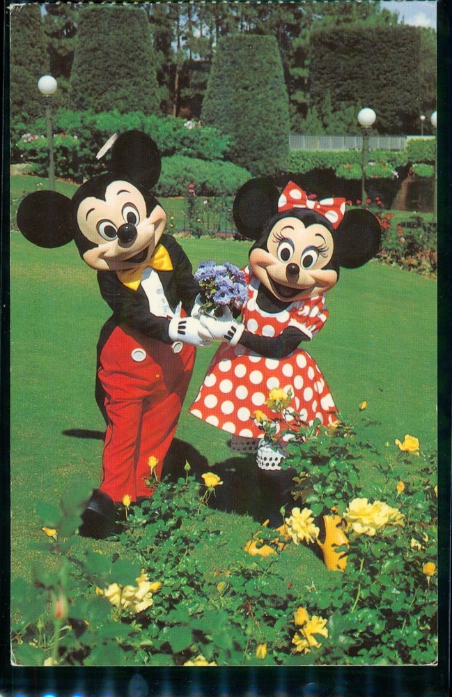 Vintage 1999 Mickey & Minnie Mouse Disney Orlando Florida Floral Postcard