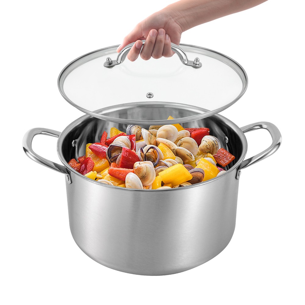 3L/3.17qt Pot Stainless Steel Stock Pot with Clear Lid & Steaming Rack New